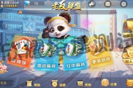 熊猫 奇迹 微乐3UI 授权工具永久出售